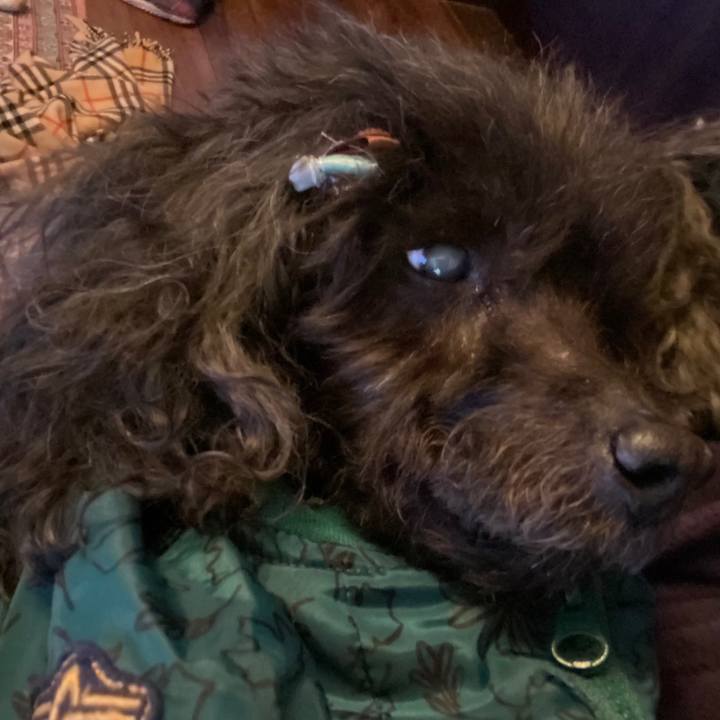 01d3b2de a610 4995 a77d 69fae3c4ffdc 1608593635482