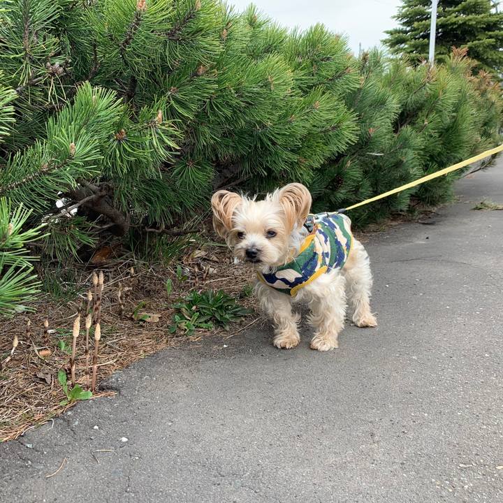 01d3c1a2 072f 4771 b81c 9b2f935766d8 1556353790864