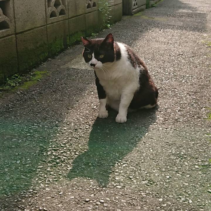 01d3f18d ecb4 41a1 a6ef 5498e6369070 1563421395539