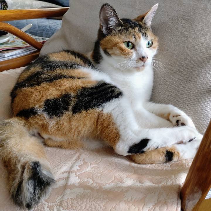 01d42398 0b06 4a7b b4ea be217fdac826 1695000740687