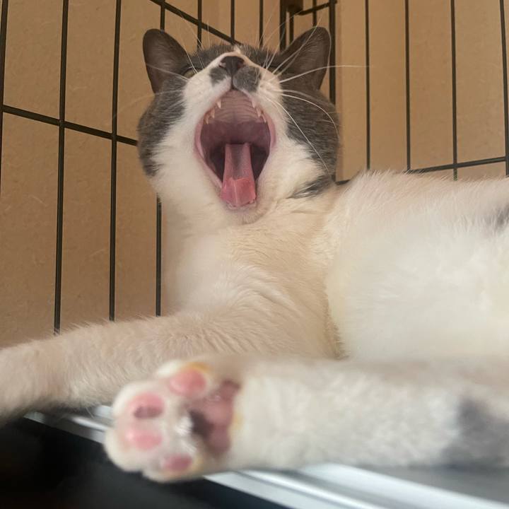 01d46d5d d007 4793 9441 388d19d8ebf6 1725229911052