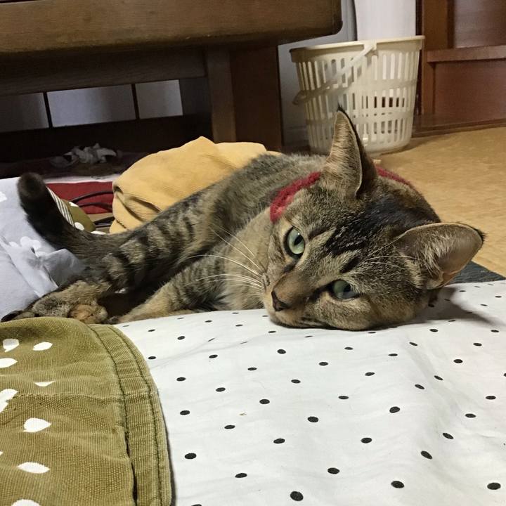 01d47264 f65d 45aa 8253 0e2cecbe7ac0 1603069462698