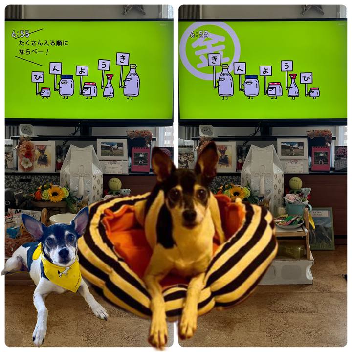 01d476e4 2f42 49ec bc24 eba9d0115805 1663279359899