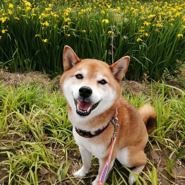 01d48116 dd9f 4b86 8914 e2d3ba034cc9 1683356850597