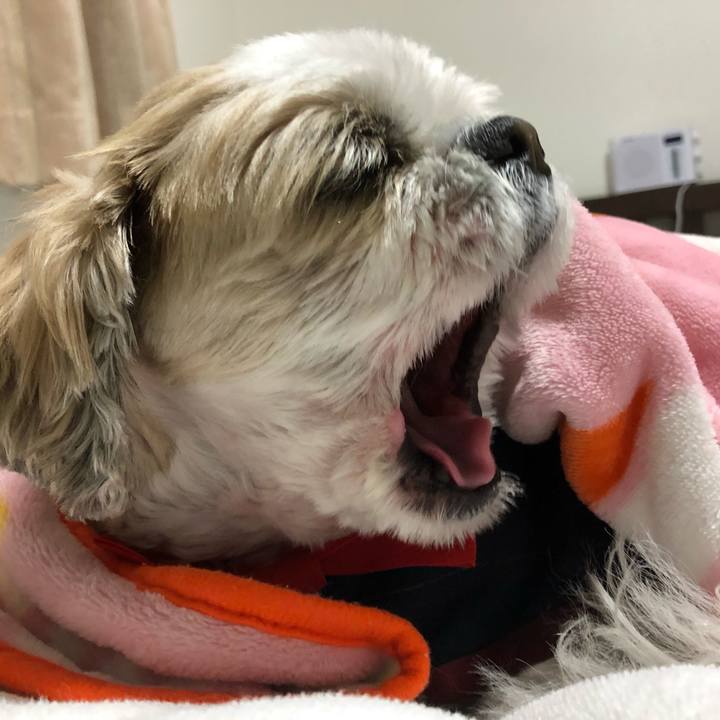 01d4a216 1178 44d2 a0a5 6868ddf8738a 1577137611413