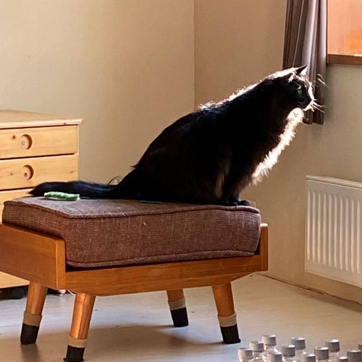 01d4cd0e 6a00 4ca8 8b83 717d0aabf338 1651444138810