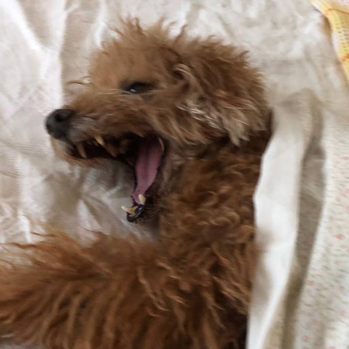 01d4d6e3 c5ed 4337 b415 d143d9706286 1559694706403