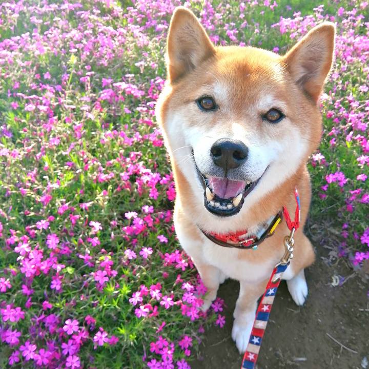 01d4ec6a 97ed 44c3 8a0a 5375d33f1a22 1650617292166