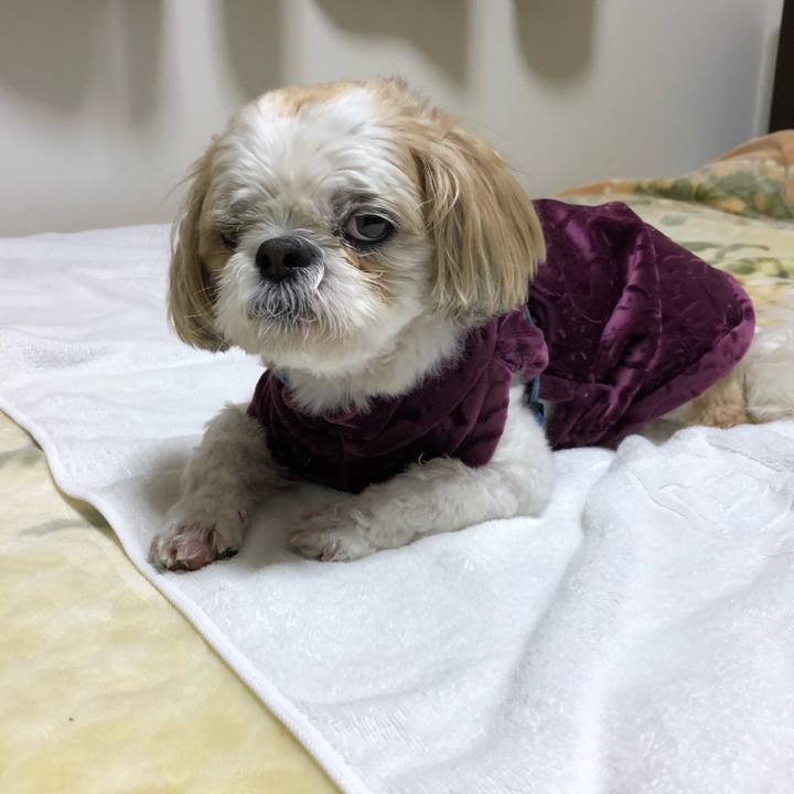 01d53995 440c 4d7b 8785 b49ed68c7b29 1529444309557