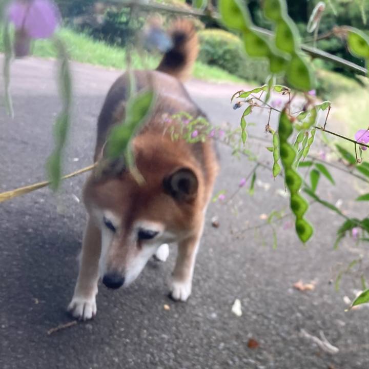 01d55a08 2d35 468a a993 04e2c13a4436 1663124382866