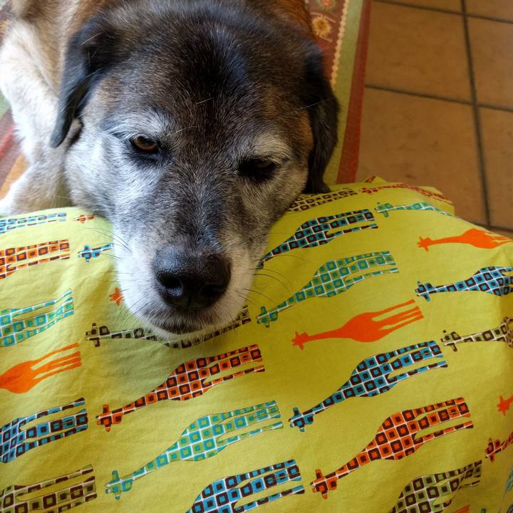 01d58483 6425 43cf abba 27cf84151e10 1532418178641