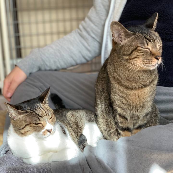 01d5a640 944b 4e97 81b6 e6b1115a28f6 1544406291140