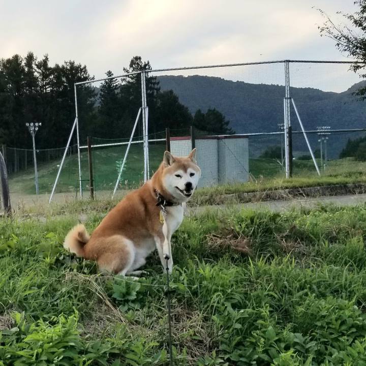 01d5de36 641f 4c93 bbaa 15c53620c3e5 1632729976544