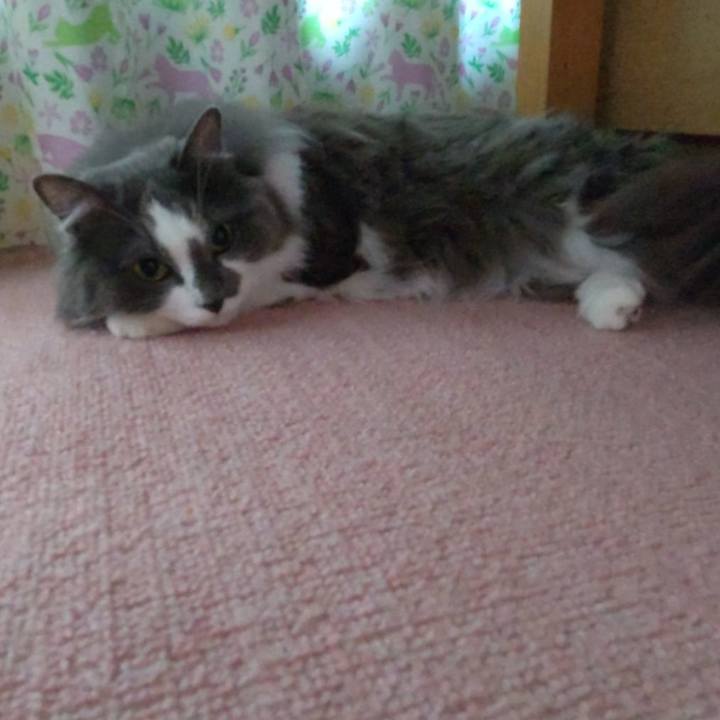 01d5f776 1ef3 456b b018 14557e1a8056 1654762450324