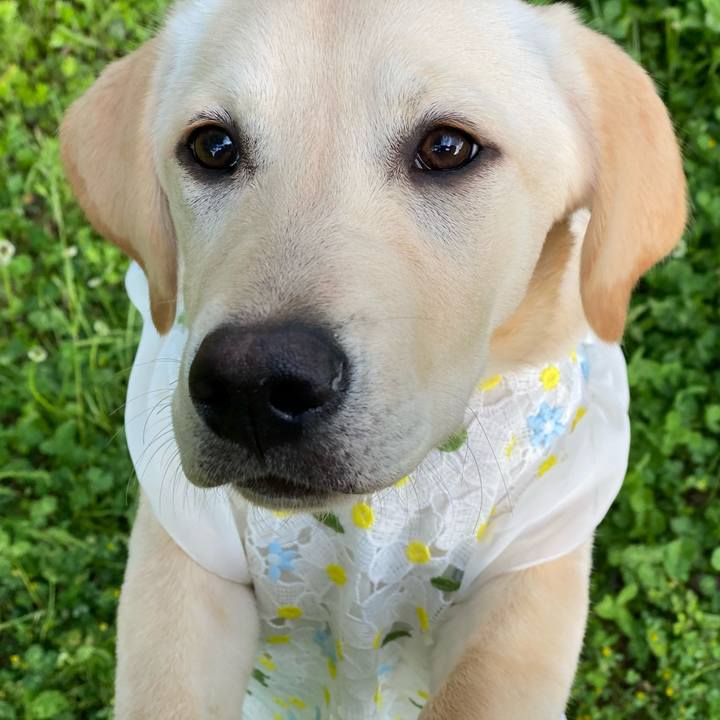 01d60377 f103 4cf6 a2d8 b736fc1f6f33 1618819747143