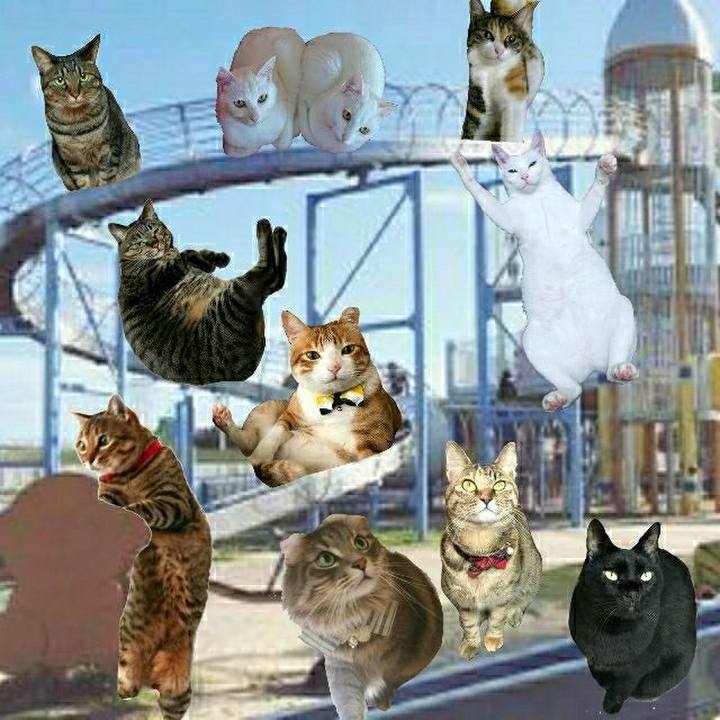 01d638f7 2ff3 4d65 b775 d6b44fb0ec7f 1557668901500