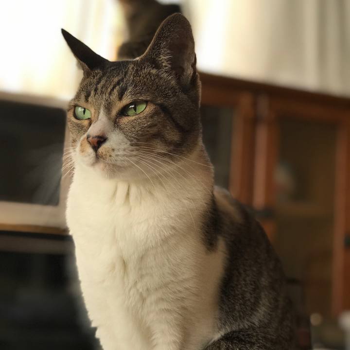 01d6505e 713f 4950 852d 46af20ac1cdf 1509068319739