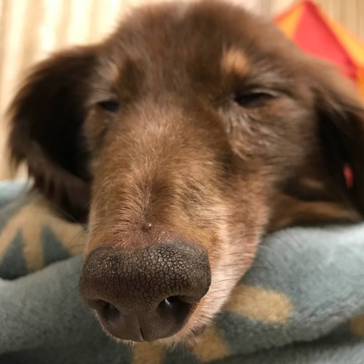 01d6bdd1 5ee6 44a4 a2f8 629e8996ddb6 1523448961865