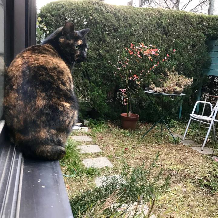 01d6c93b c2b5 40f0 b1fe 7bcb7de41a26 1515209084262