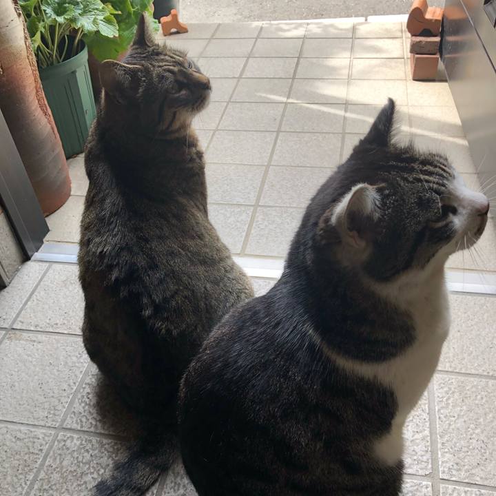 01d6da67 6fae 43ef a682 e0b6768ce440 1523081610115