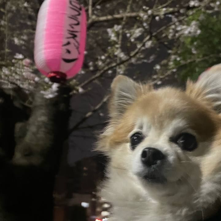 01d6eb07 833d 49ac 9499 4a59eaf17371 1774193236869