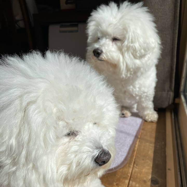 01d717b1 5311 4d0e a2b8 dceb4d85817e 1612753178479