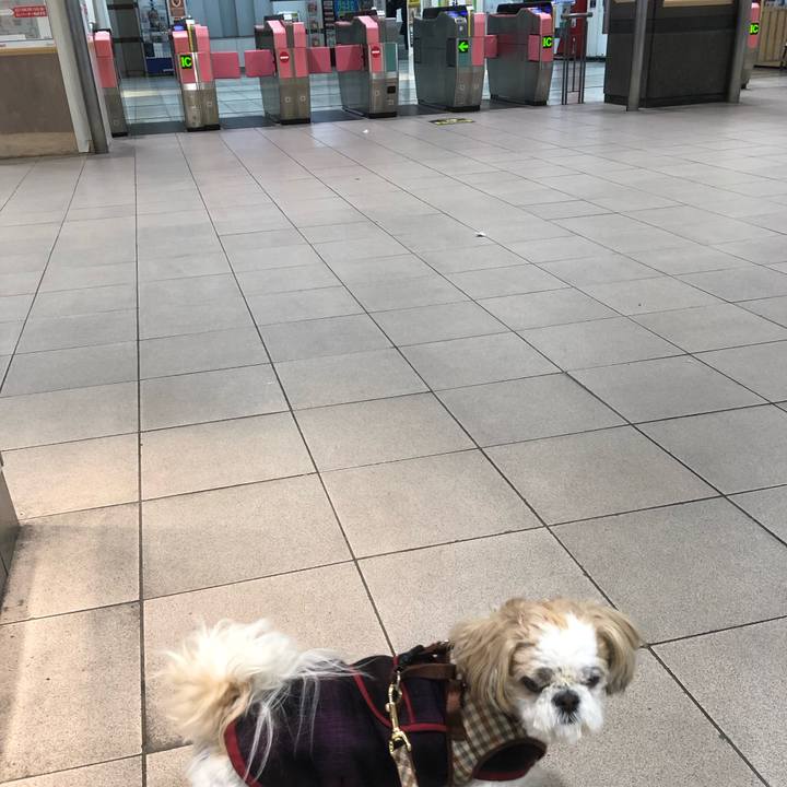 01d71adb f6a3 43bf bd76 a1e1e3a665dc 1551908826975