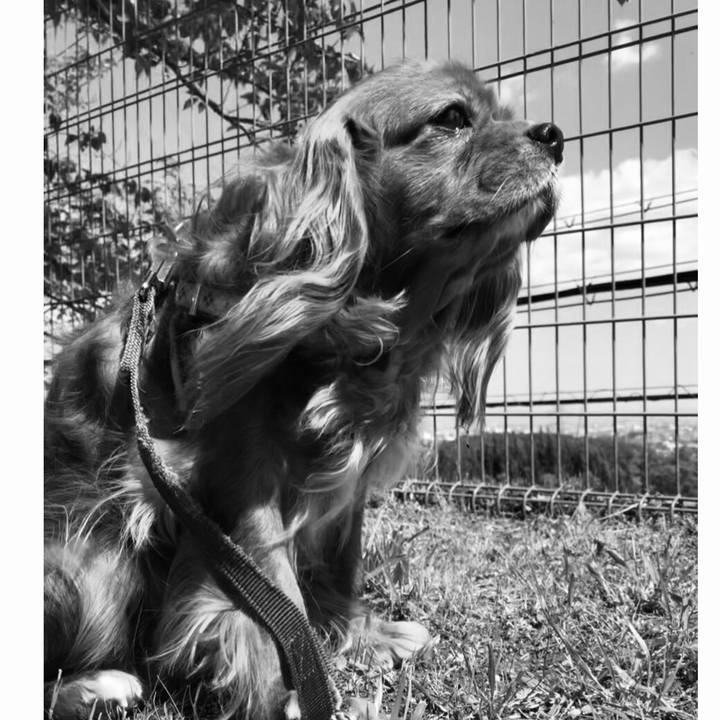 01d735f1 a293 44c2 8189 cbf12407893f 1620132004542