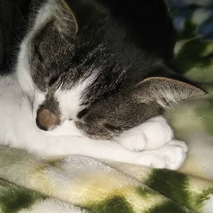 01d739db a22d 48af 9598 fa9ee1ea3e63 1616085258815