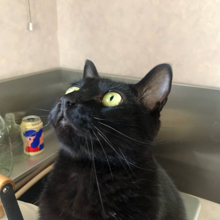 01d751f2 c264 4375 b87f 176a2598e822 1658443115424