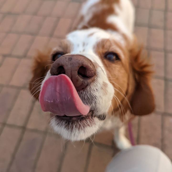 01d76330 8152 46f5 96d1 997518e13940 1643197653548