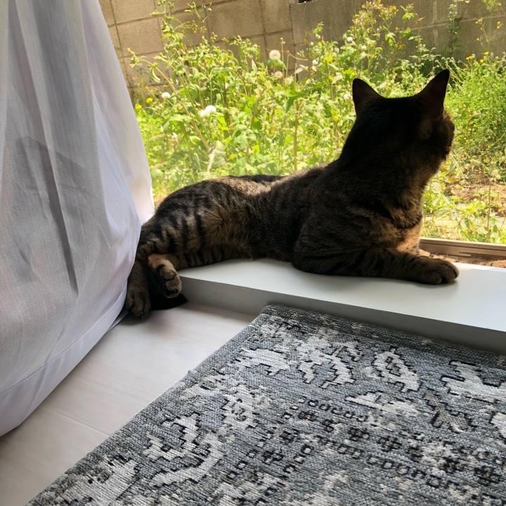 01d79560 c034 46c8 8000 d88530dc3bec 1524498486474