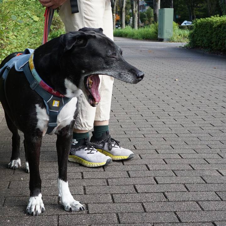 01d79fb0 8582 4d49 a377 90c650ea7b87 1758586433718