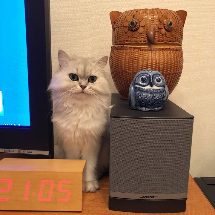 01d7c403 583a 412e aa24 c843402a1aca 1530533346623