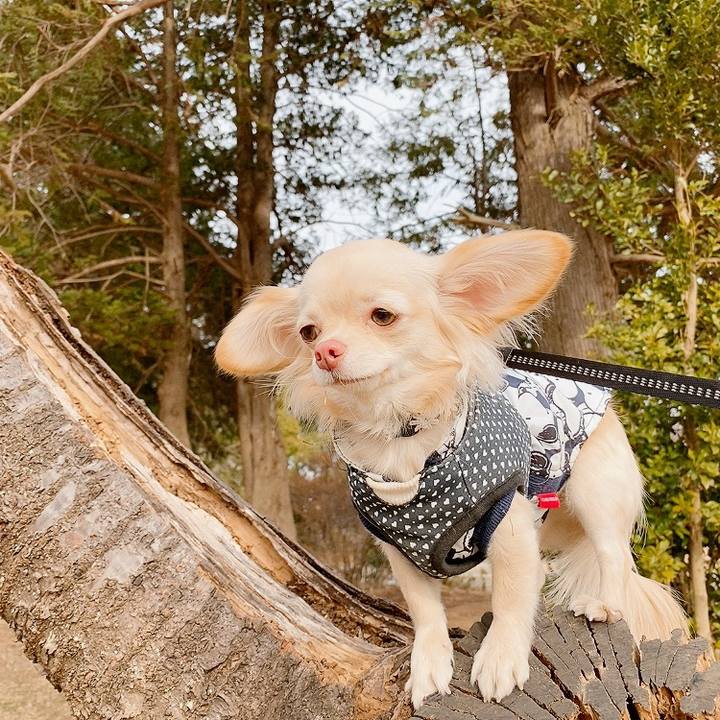 01d7cc6d 75cc 4db8 a620 cc708bf8bad7 1610422262836