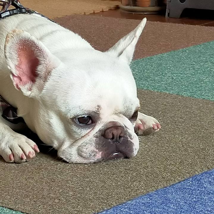 01d7ed9f 62fd 451d b8cf 907af4d9b25f 1652576157502