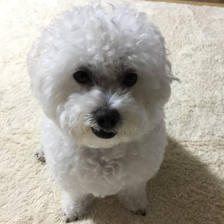 01d87e48 aca0 4b7f 8524 582c80b44272 1539254544183