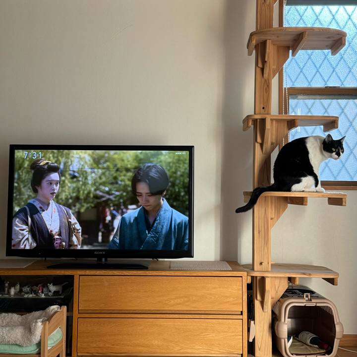 01d8bc67 d9fe 4b1a 8d13 d10741d679db 1762471523967