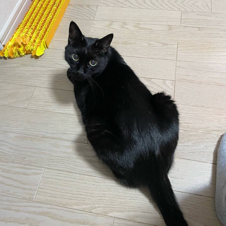 01d8e1e7 4f23 43cb 91a3 ab26af849859 1743516685720