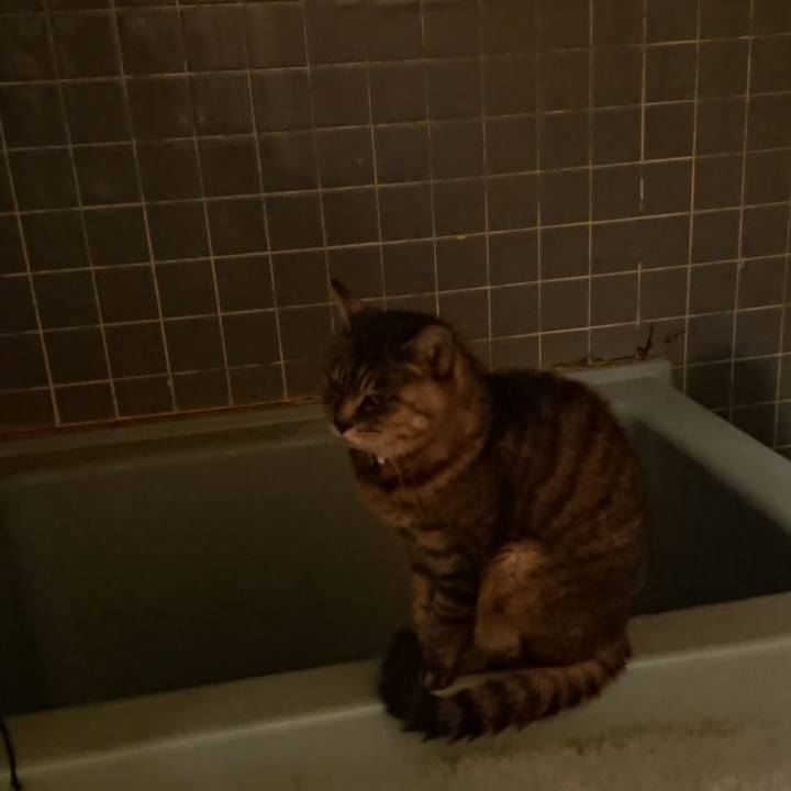 01d9165b cd08 4ce7 a050 0f8c9d1f78ea 1571736192341