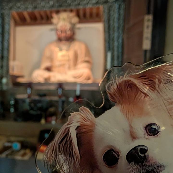 01d91771 c205 4e67 8e7a 54f72838c910 1749891680696