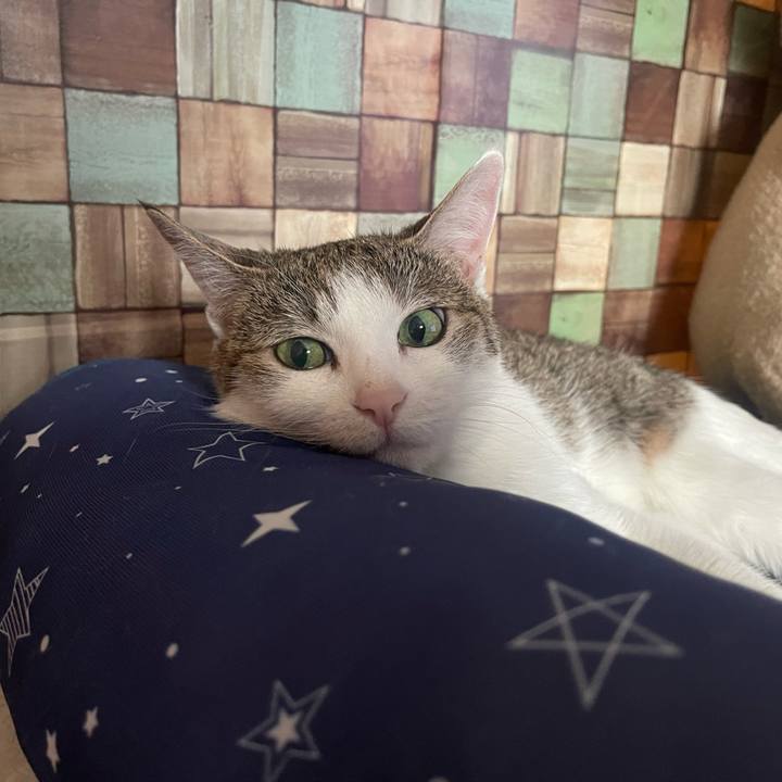 01d95596 1c6e 4387 a932 0453155bcb21 1727279203428