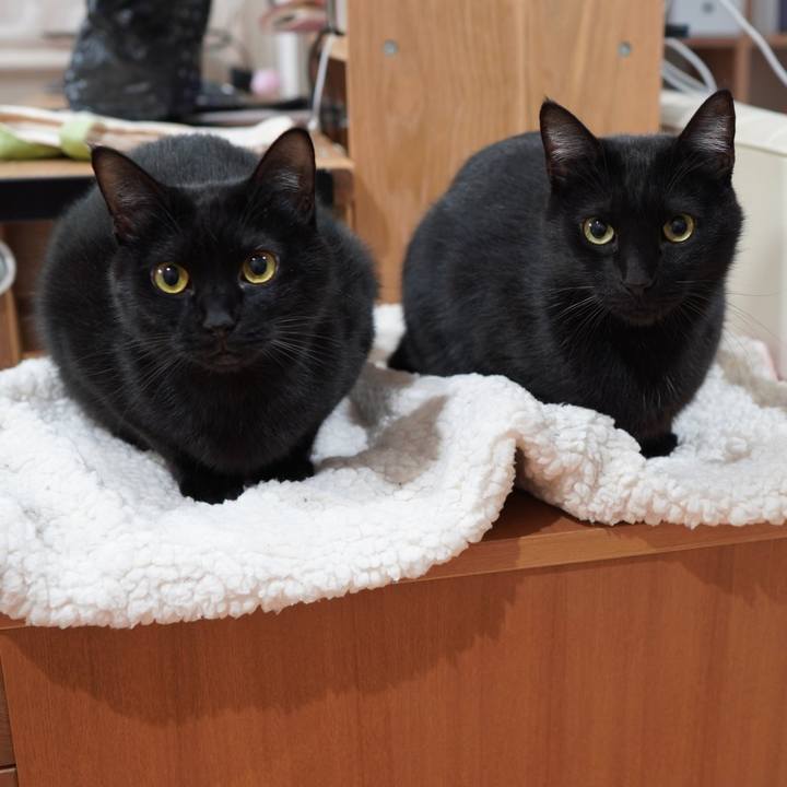 01d9564e 63f6 4c15 add5 7e9a215da767 1583362090899