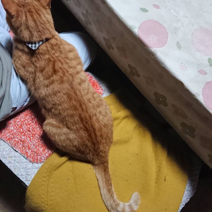 01d95809 9c0a 48f3 8293 ba003d94de4d 1571222557326