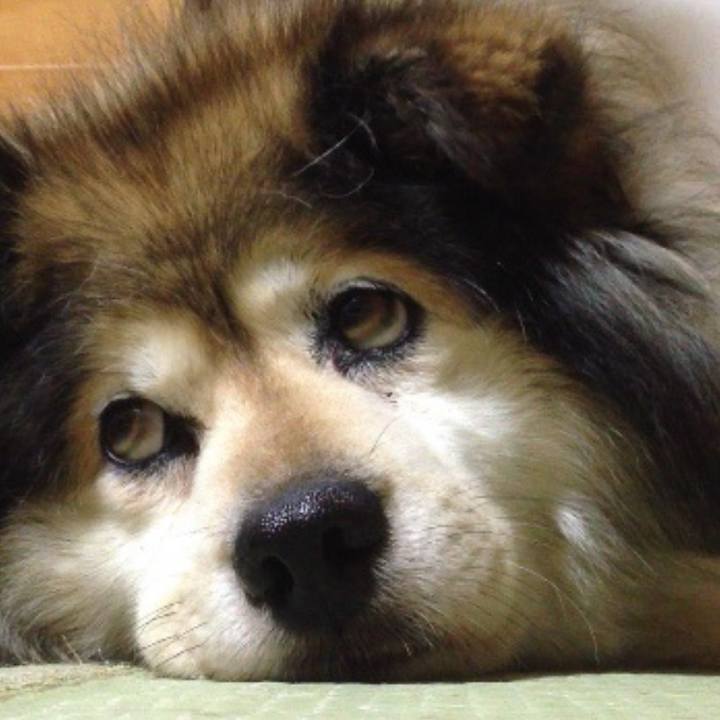 01d97657 5406 475c 8fff 3d923a0c416e 1604451677899