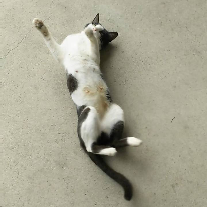 01d98bd1 d661 4555 9ead 15e5e2c5a316 1533041840851