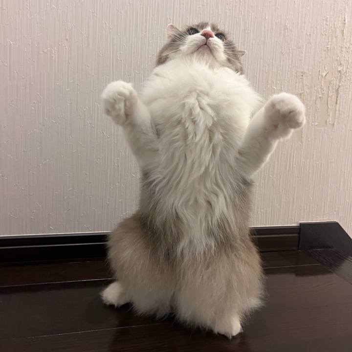 01d99495 16e1 455e 9268 fee989367ed8 1767003923293