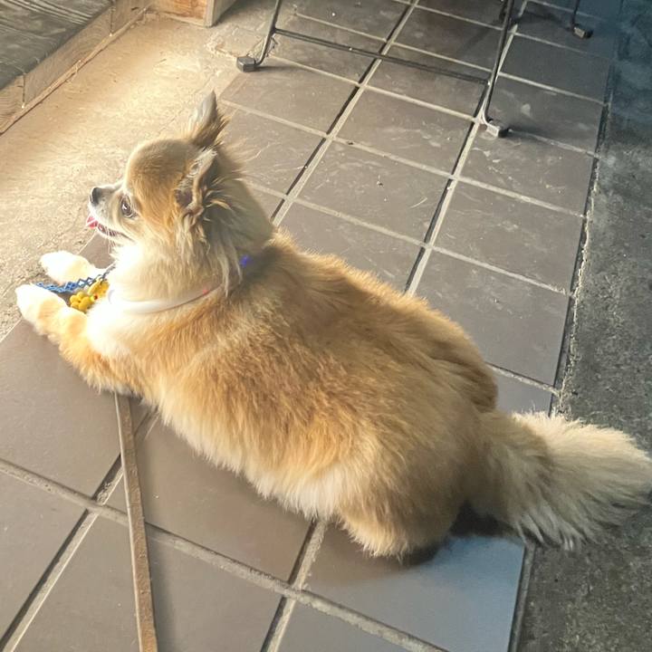 01d9a0f9 3d33 4c90 ab61 9e6b4c9330f0 1754748650258