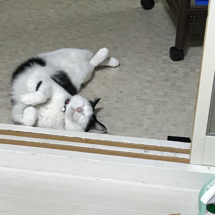 01d9b3e4 1dda 4428 be7b 646fe10e4b84 1538823189562