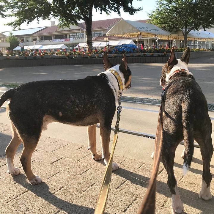 01d9ba3d 661c 4c8e 9776 c9a75ab00f70 1527846046205